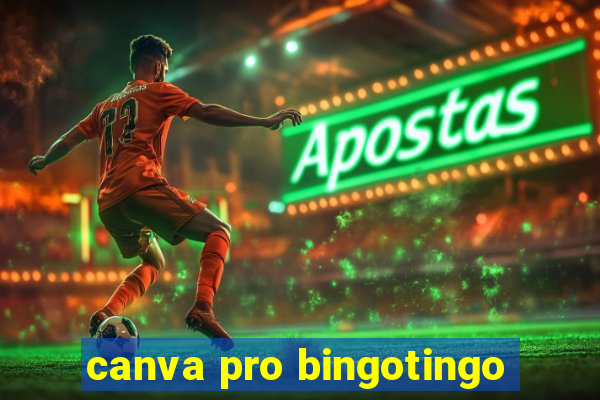 canva pro bingotingo